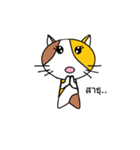 Kavaii cat（個別スタンプ：37）