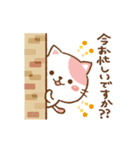 ▶︎可愛く動く！ゆるねこ その1【敬語】（個別スタンプ：15）