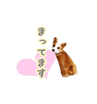 コーギーはな（個別スタンプ：11）