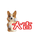 コーギーはな（個別スタンプ：23）