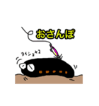 イカの友達2 エギングバージョン（個別スタンプ：24）