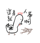 Golden Chicken Says Part 2（個別スタンプ：20）