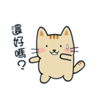 Moe Cat-funny life（個別スタンプ：25）