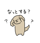 ゆるいぬジロちゃん（三重弁）（個別スタンプ：5）
