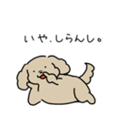 ゆるいぬジロちゃん（三重弁）（個別スタンプ：23）