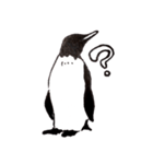 らくがきペンギン（個別スタンプ：16）