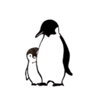 らくがきペンギン（個別スタンプ：30）