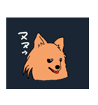 eye appeal dog（個別スタンプ：11）