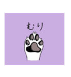 eye appeal dog（個別スタンプ：16）