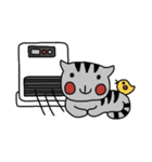 とらじさん（個別スタンプ：9）