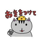 とらじさん（個別スタンプ：29）
