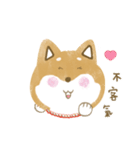 Q Shiba Inu（個別スタンプ：17）