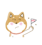 Q Shiba Inu（個別スタンプ：24）