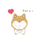 Q Shiba Inu（個別スタンプ：39）