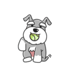 Schnauzer Money and DiDi's diary（個別スタンプ：1）