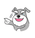 Schnauzer Money and DiDi's diary（個別スタンプ：6）