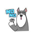 Schnauzer Money and DiDi's diary（個別スタンプ：12）