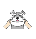 Schnauzer Money and DiDi's diary（個別スタンプ：16）