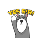 Schnauzer Money and DiDi's diary（個別スタンプ：19）