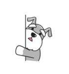 Schnauzer Money and DiDi's diary（個別スタンプ：23）