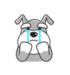Schnauzer Money and DiDi's diary（個別スタンプ：24）
