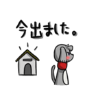 かしゃいぬ（個別スタンプ：38）