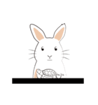The daily routine of rabbits（個別スタンプ：18）