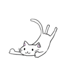 しろねこさん詰め合わせ（個別スタンプ：12）