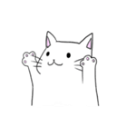 しろねこさん詰め合わせ（個別スタンプ：16）