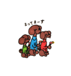 poodle red（個別スタンプ：19）