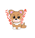 チワワのこてつ（個別スタンプ：1）