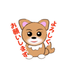 チワワのこてつ（個別スタンプ：4）