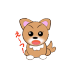 チワワのこてつ（個別スタンプ：5）