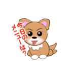 チワワのこてつ（個別スタンプ：8）