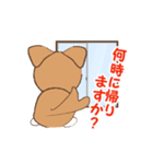 チワワのこてつ（個別スタンプ：9）