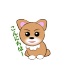 チワワのこてつ（個別スタンプ：10）