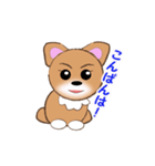 チワワのこてつ（個別スタンプ：11）