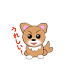 チワワのこてつ（個別スタンプ：13）