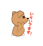 チワワのこてつ（個別スタンプ：14）