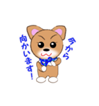 チワワのこてつ（個別スタンプ：15）