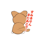 チワワのこてつ（個別スタンプ：16）