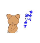 チワワのこてつ（個別スタンプ：17）