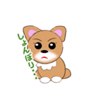 チワワのこてつ（個別スタンプ：19）