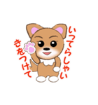 チワワのこてつ（個別スタンプ：20）