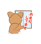 チワワのこてつ（個別スタンプ：24）