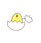 ぴよこ生活（個別スタンプ：38）