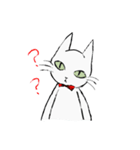 Green Eyed Cat（個別スタンプ：13）