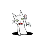 Green Eyed Cat（個別スタンプ：29）