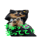 だいすきいちびー（個別スタンプ：5）