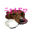 だいすきいちびー（個別スタンプ：8）